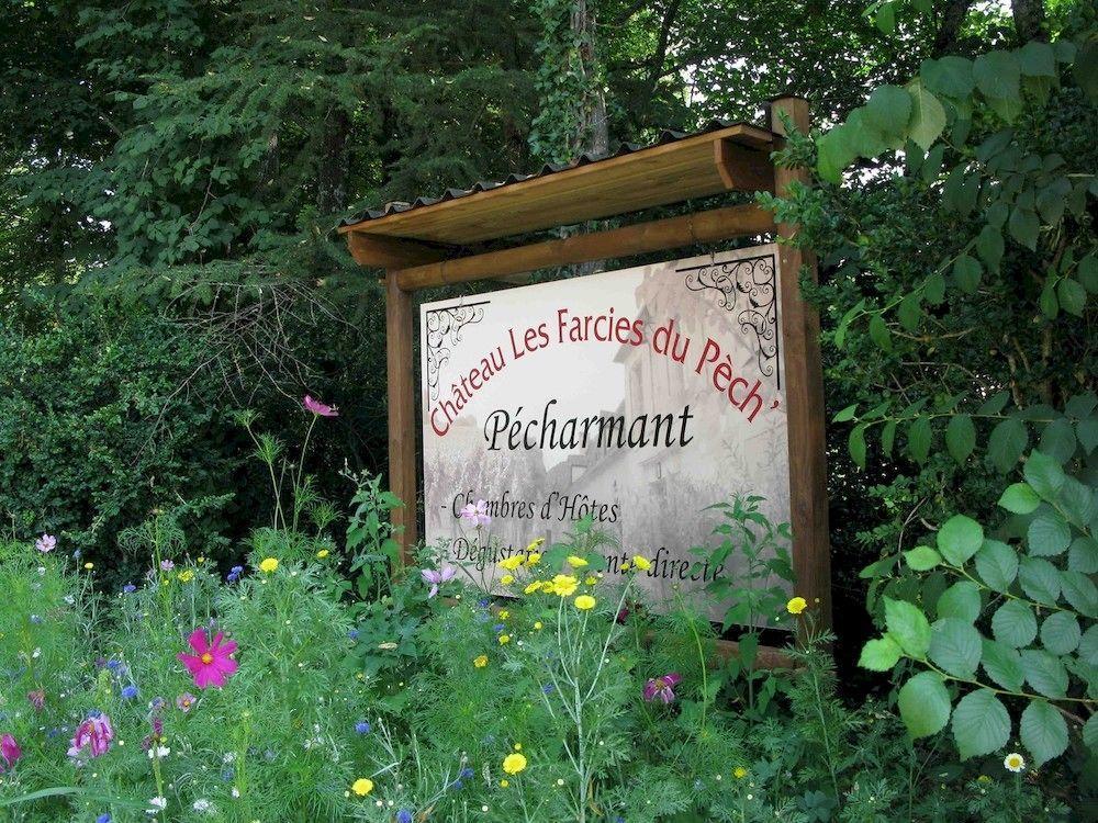 Chateau Les Farcies Du Pech Bergerac Exterior foto